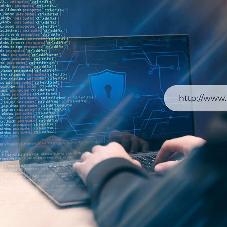 Secure Platforms